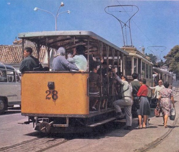 Tram at Pile Braslje